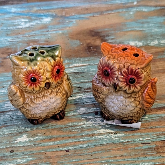 Cracker Barrel Whimsical Owl Set of Salt and Pepper Shakers - Picture 2 of 9